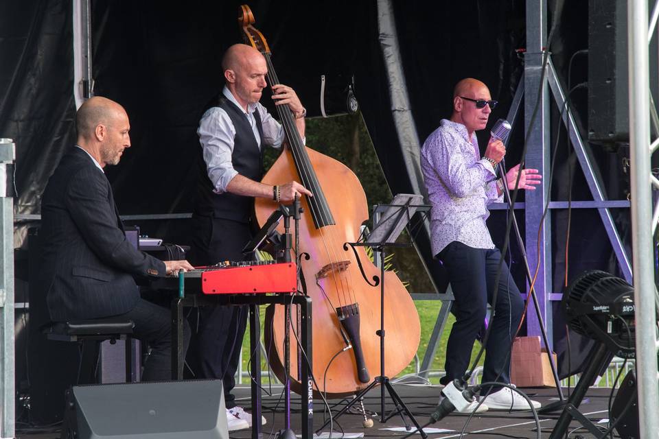Serial Swing
